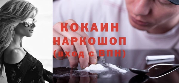 индика Лагань