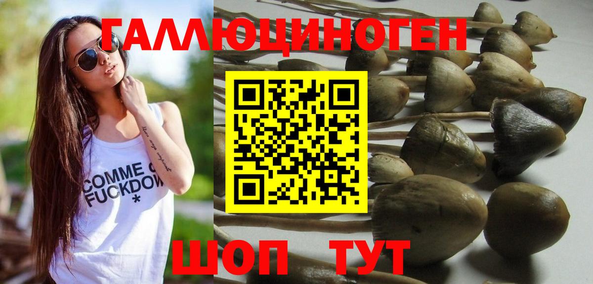 Северодвинск  Галлюциногенные грибы Magic Shrooms  Вход с VPN 